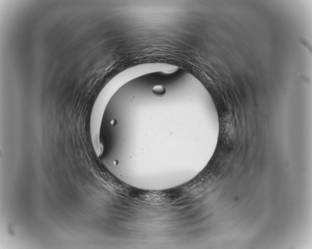 X0000094970615200712201224