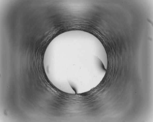 X0000094970617200712201224