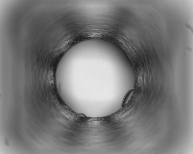 X0000094970620200712201224