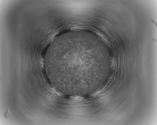 X0000094970621200712201224