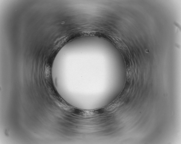 X0000094970623200712201224