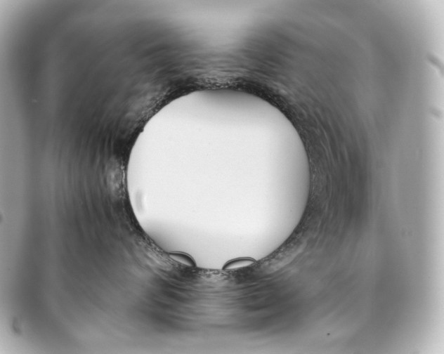 X0000094970624200712201224