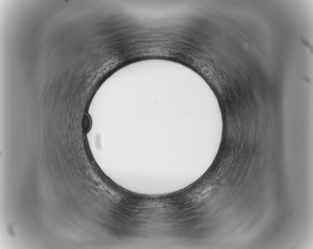 X0000094970625200712201223