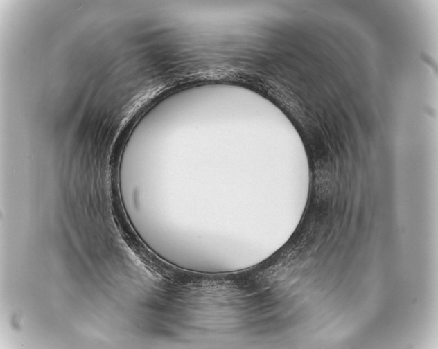 X0000094970626200712201223