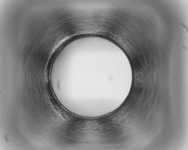 X0000094970628200712201223