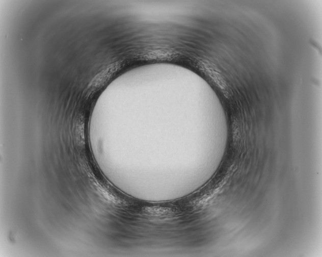 X0000094970633200712201223