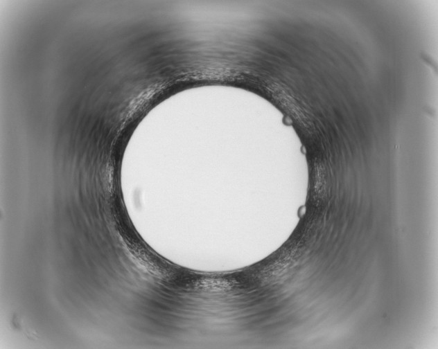 X0000094970636200712201223