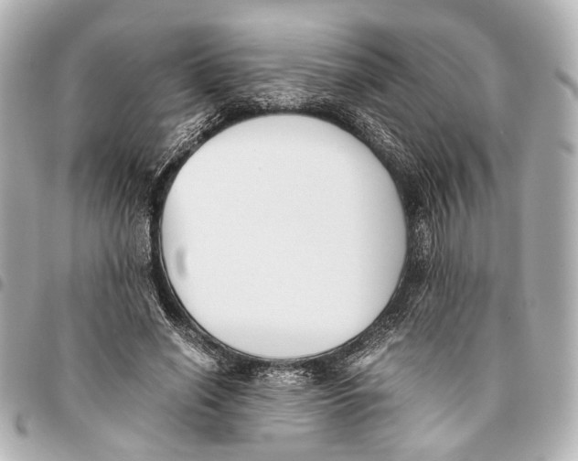 X0000094970638200712201223