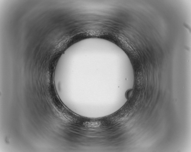 X0000094970639200712201223