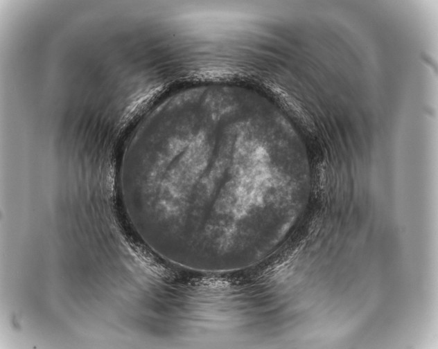 X0000094970640200712201223