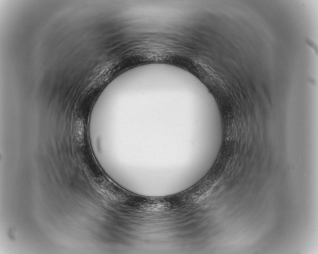 X0000094970646200712201223