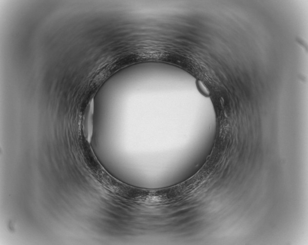 X0000094970647200712201223