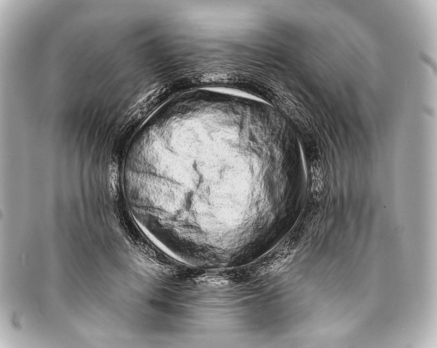 X0000094970648200712201223