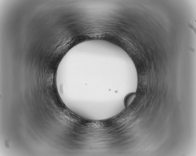 X0000094970652200712201223