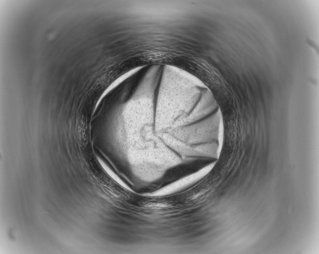 X0000094970653200712201223