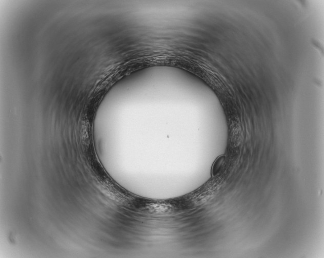 X0000094970654200712201223