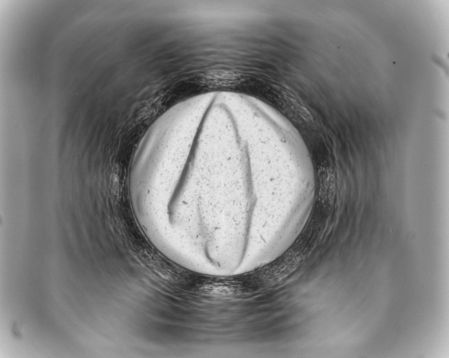 X0000094970655200712201223