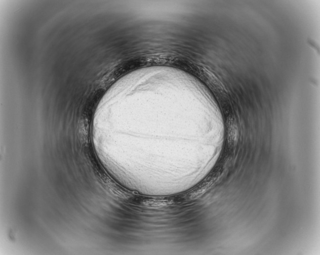 X0000094970661200712201223