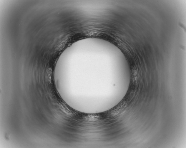 X0000094970664200712201224