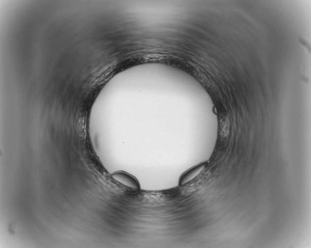 X0000094970666200712201224