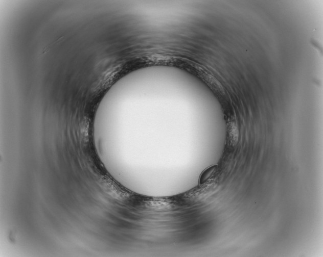 X0000094970668200712201224