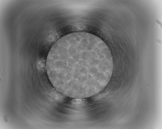 X0000094970672200712201224