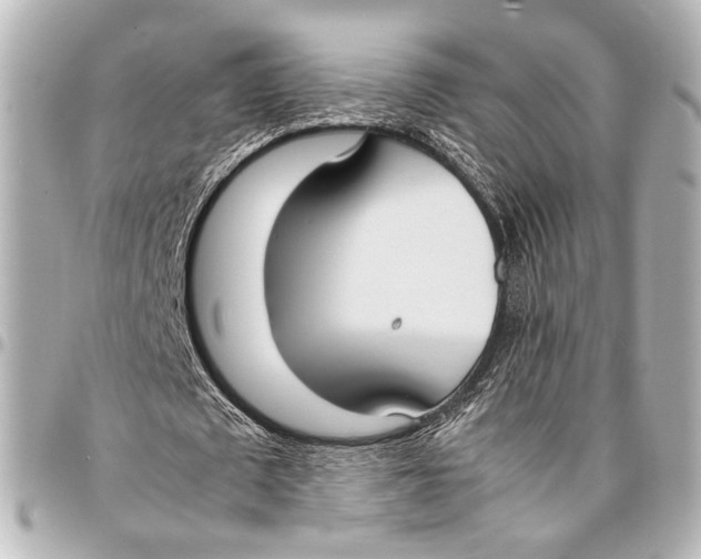 X0000094970673200712201223