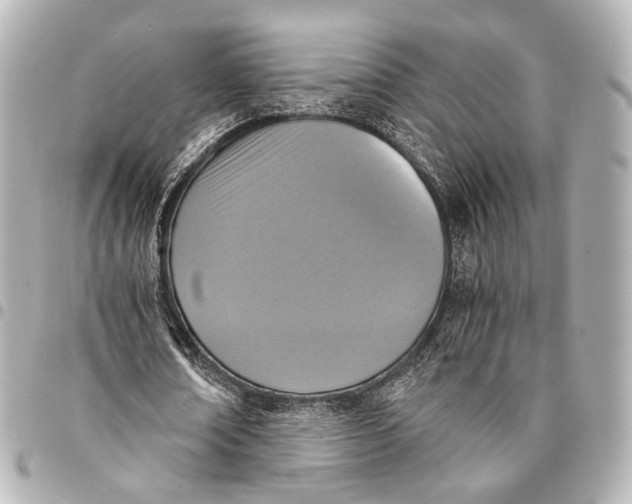 X0000094970674200712201223