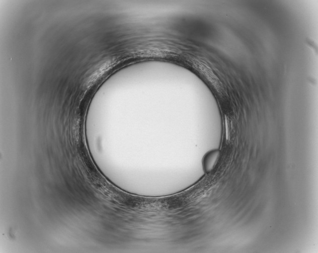 X0000094970675200712201223