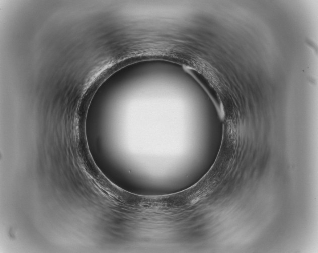 X0000094970676200712201223