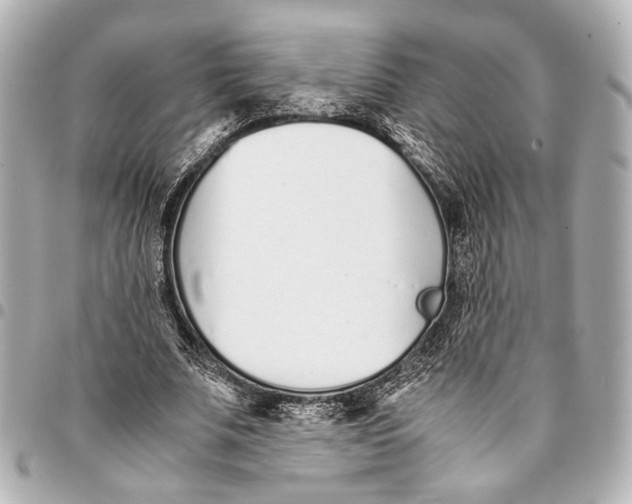 X0000094970679200712201223