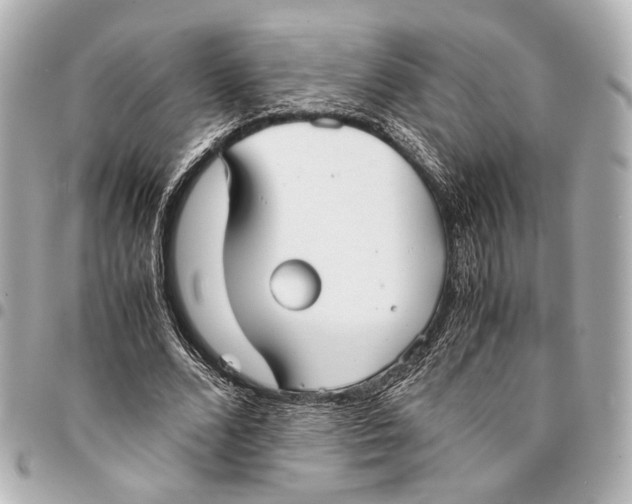 X0000094970680200712201223