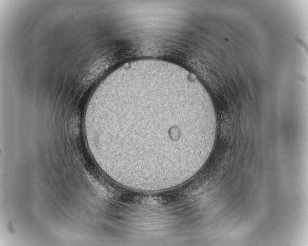 X0000094970683200712201223