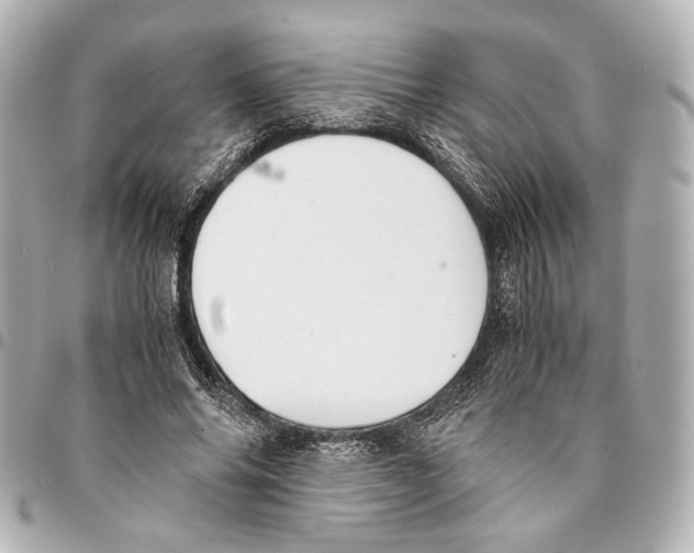 X0000094970686200712201223