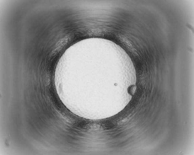 X0000094970687200712201223