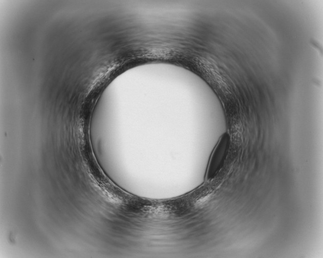 X0000094970688200712201223