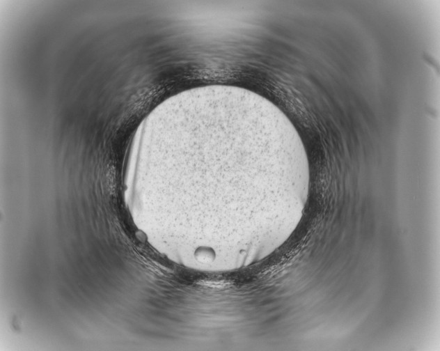 X0000094970689200712201223