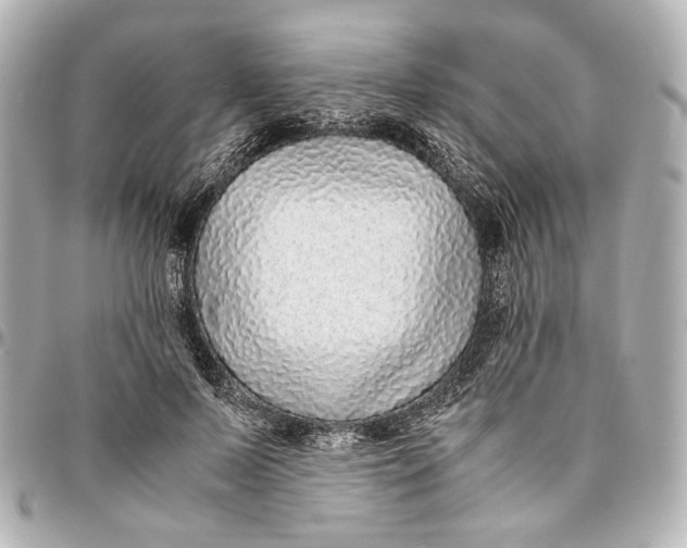 X0000094970695200712201223