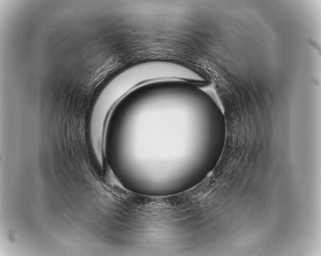 X0000094970696200712201223