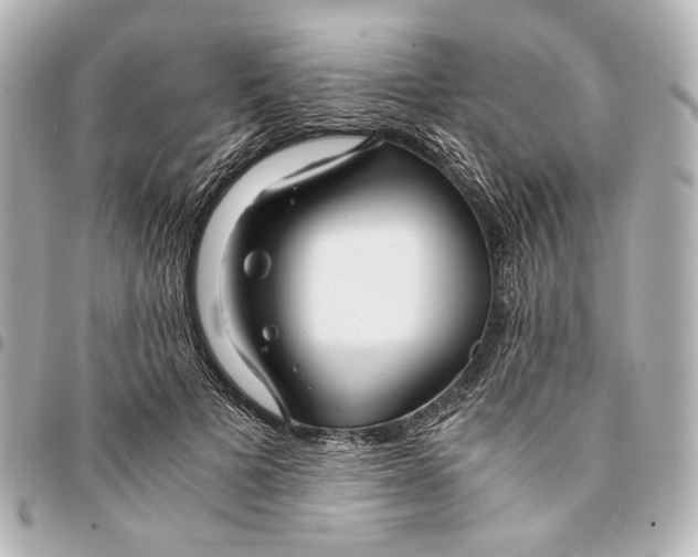 X0000094970697200712201223