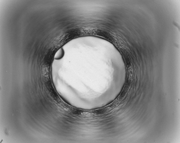 X0000094970699200712201223