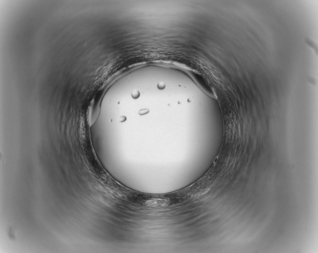 X0000094970700200712201223