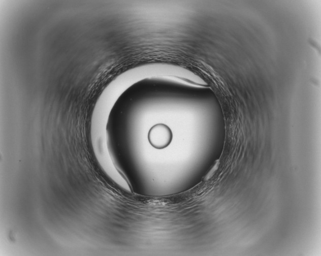 X0000094970701200712201223