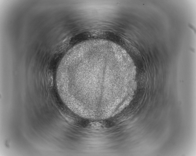 X0000094970703200712201223