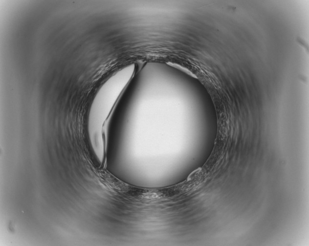 X0000094970704200712201223