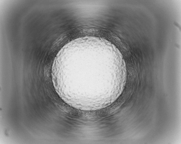 X0000094970705200712201223