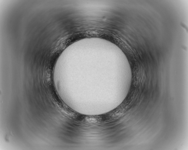 X0000094970706200712201223