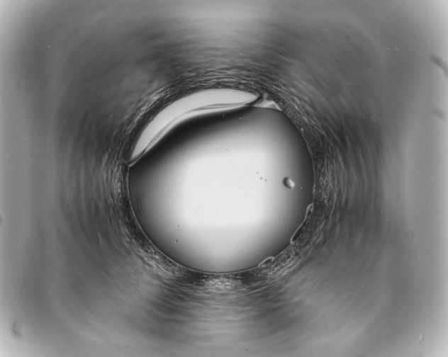 X0000094970708200712201222