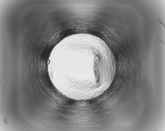 X0000094970711200712201222