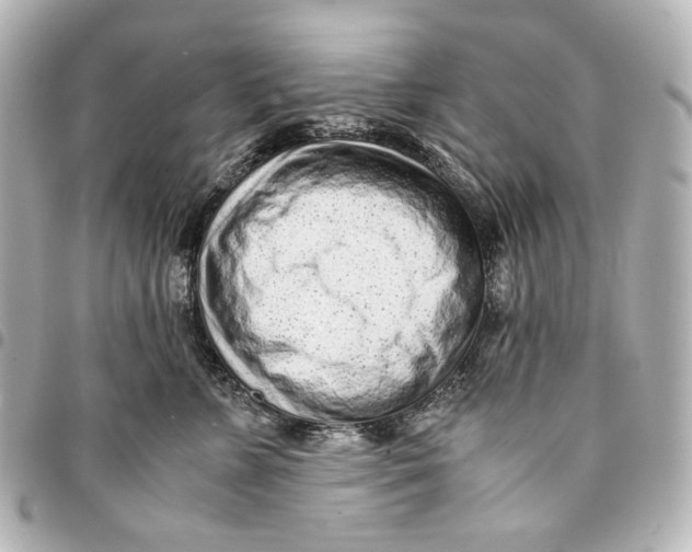 X0000094970715200712201222